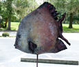 Fish in Terragreen - Clay Sculpture